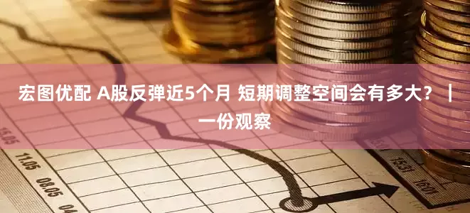 宏图优配 A股反弹近5个月 短期调整空间会有多大？｜一份观察