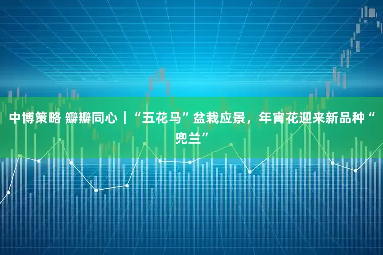 中博策略 瓣瓣同心｜“五花马”盆栽应景，年宵花迎来新品种“兜兰”