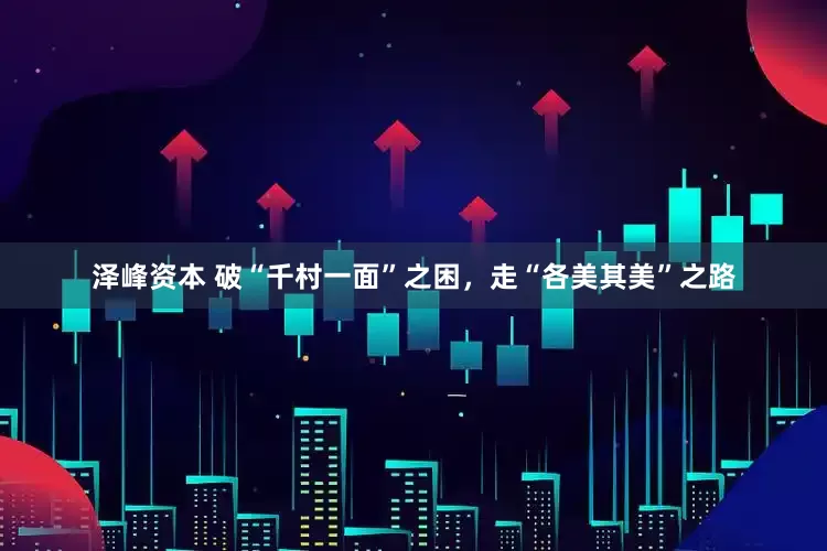泽峰资本 破“千村一面”之困，走“各美其美”之路